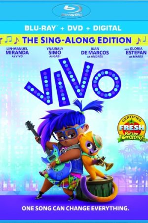 Vivo202021.jpg