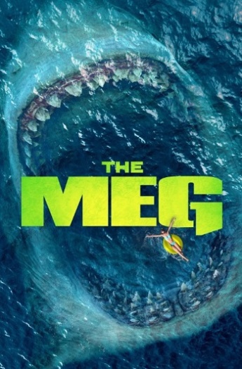 The20Meg.jpg