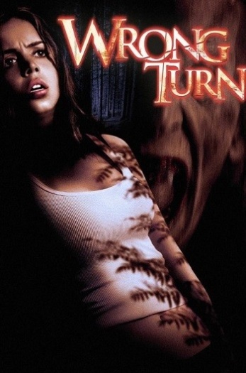 Wrong20Turn202003.jpg
